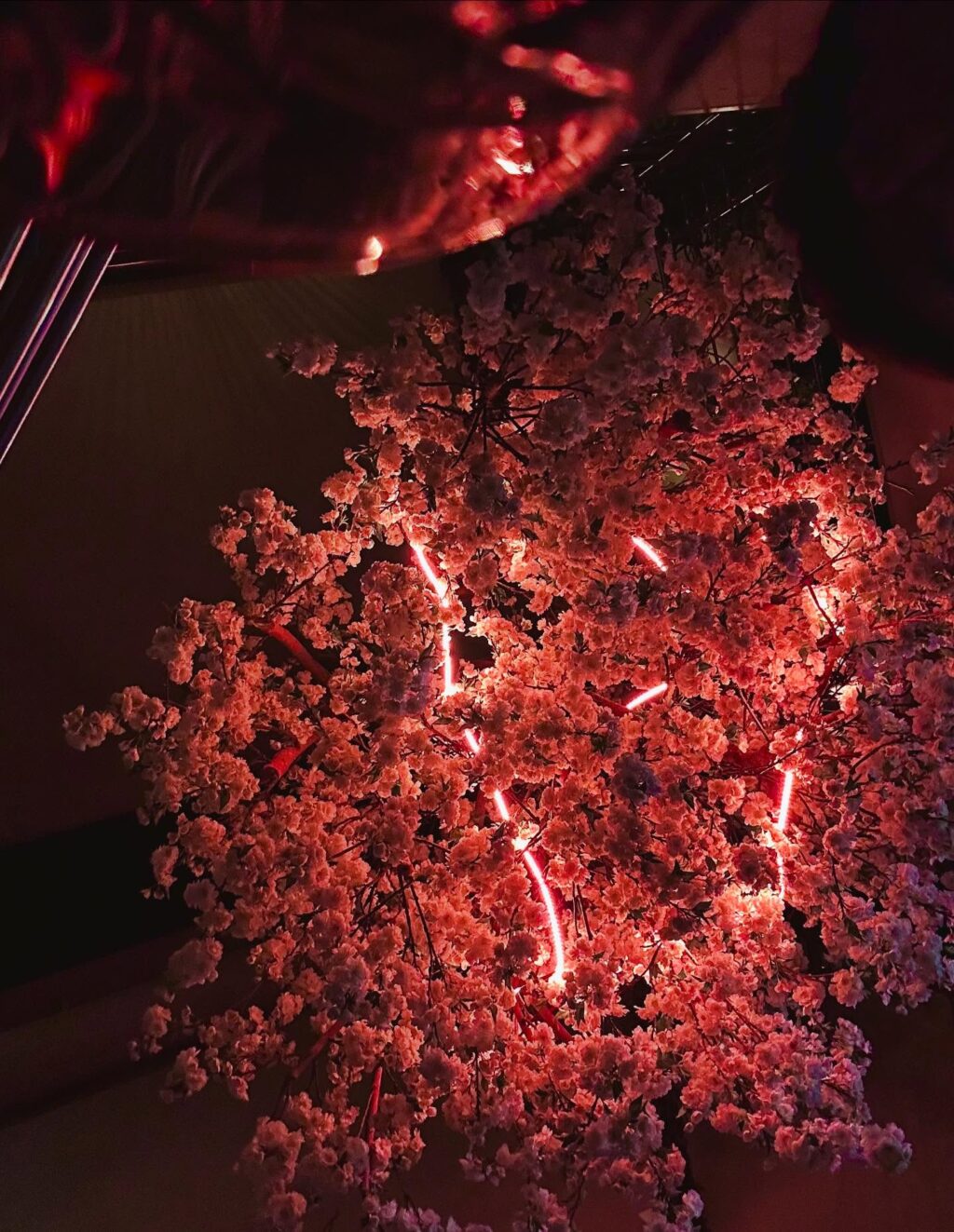 Instagram post from dq_tattoo.dk. This post is in position 5.